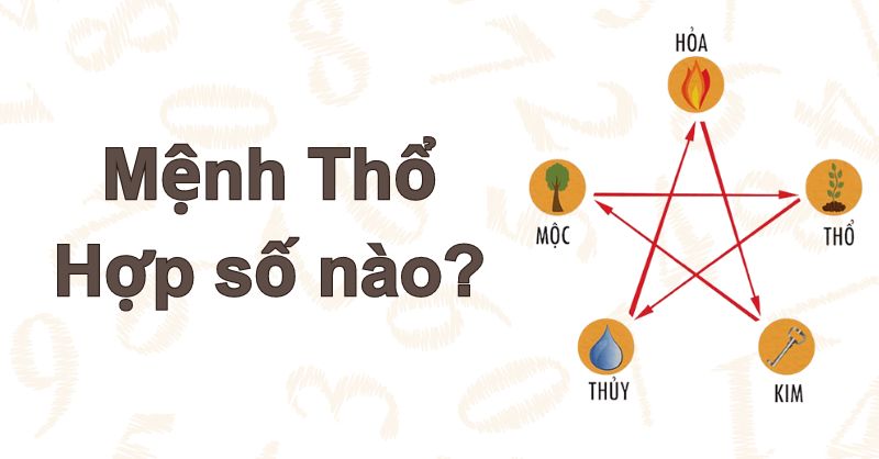 Mệnh Thổ hợp số nào? Lý giải màu sắc, số điện thoại hợp mệnh Thổ