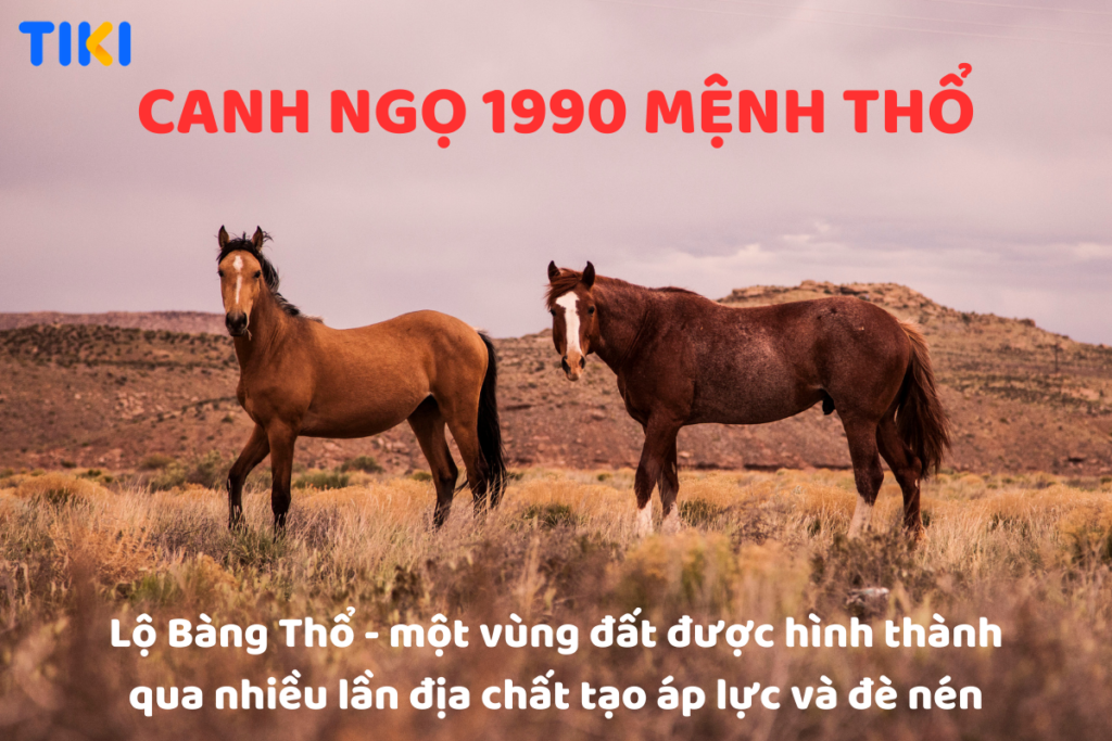 Tuổi Canh Ngọ 1990 mệnh như thế nào? Hợp với tuổi nào? Cùng xem màu sắc nào phù hợp!