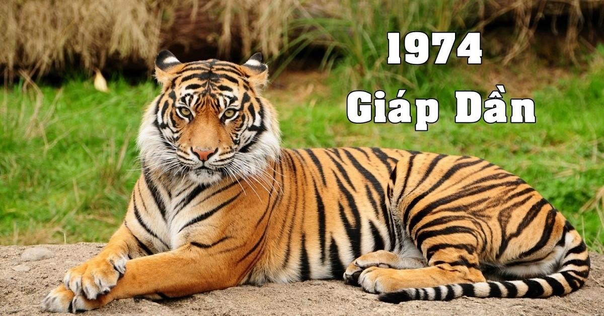 1974 mệnh gì? Tuổi Giáp Dần hợp màu nào, hợp tuổi gì làm ăn phát đạt?