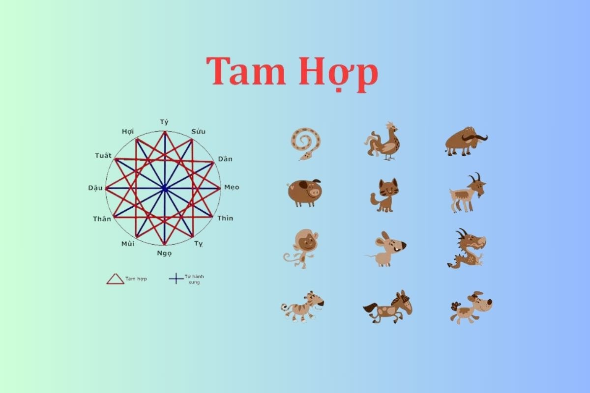 Nam, nữ sinh năm 2000 mệnh gì? Người sinh năm 2000 nên mua điện thoại màu gì để tăng thêm may mắn?