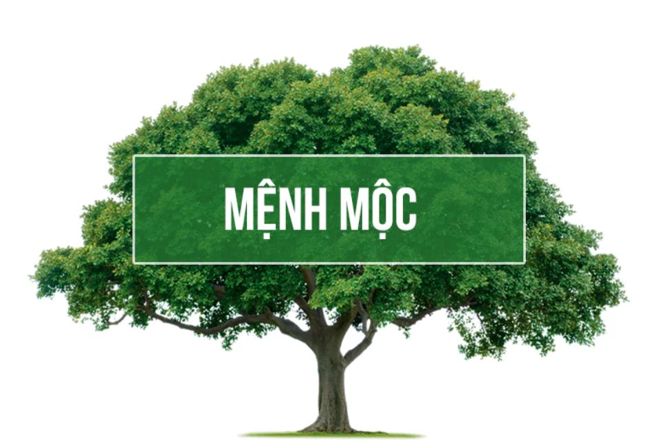 Người sinh năm 2003 mệnh gì? Tuổi Quý Mùi có cung mệnh gì? Phù hợp với những màu nào?