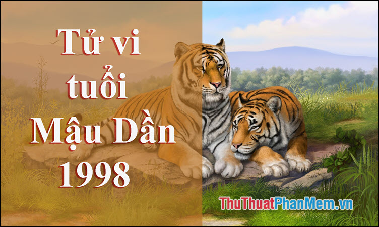 Bí mật về Mệnh, Cung Con, Màu Sắc và Hướng Phù Hợp cho Tuổi 1998