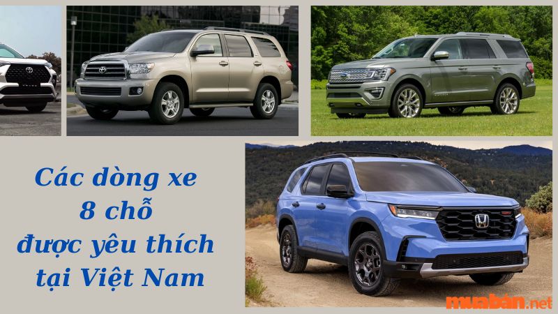 17 dòng xe 8 chỗ ở Việt Nam được đánh giá tốt nhất 2024