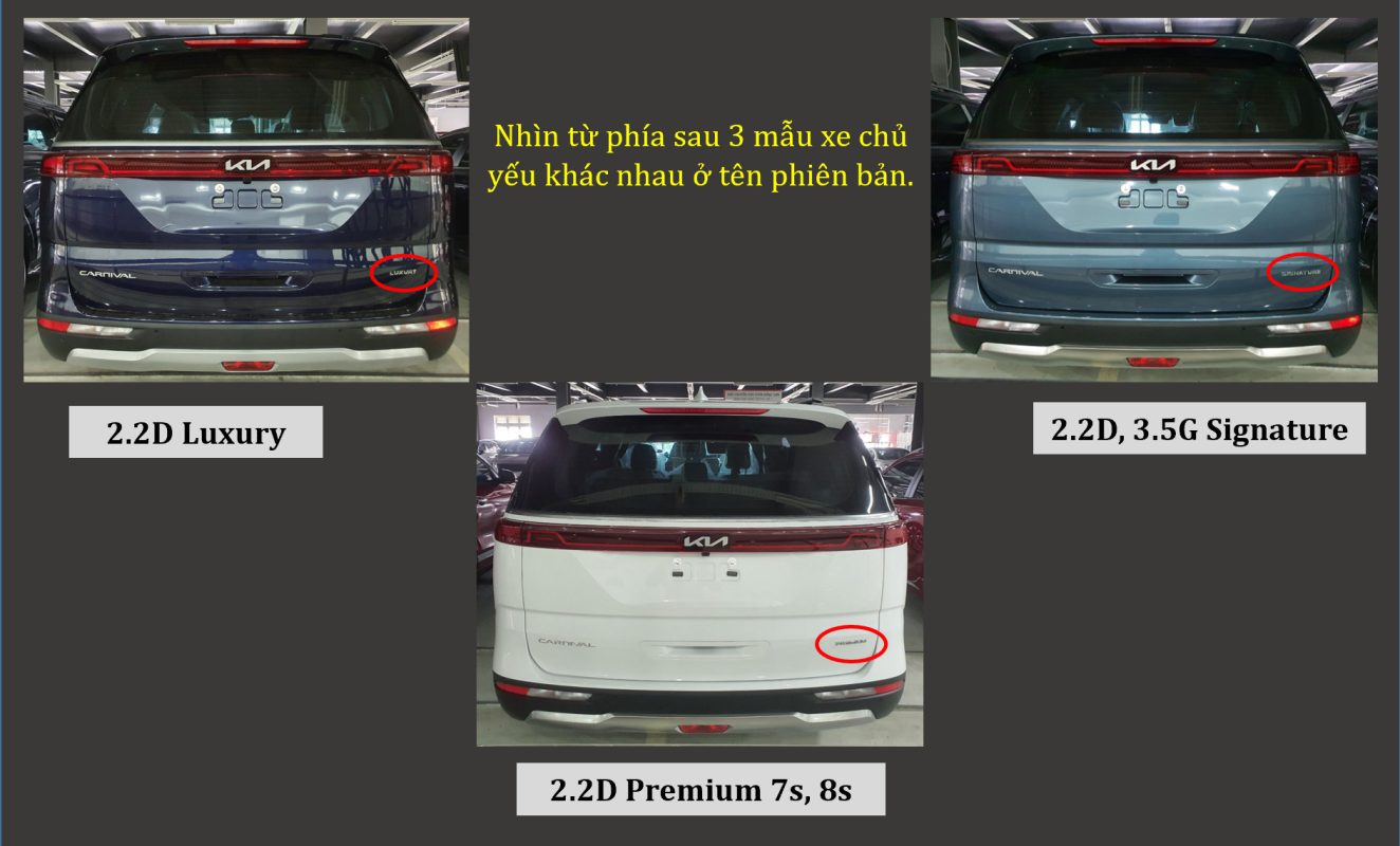 Phân Biệt Các Phiên Bản Kia Carnival. Cập Nhật Bảng Giá 5/2024