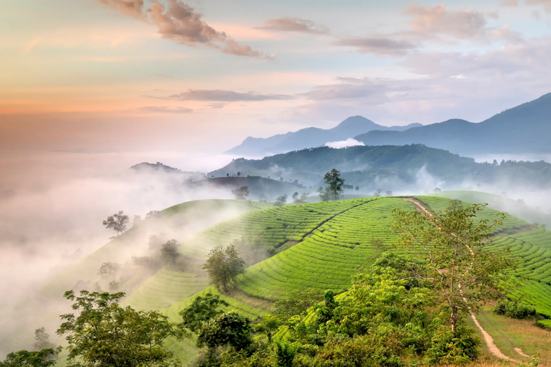 Cẩm nang Du Lịch Phú Thọ : Top 12 Địa điểm không nên bỏ qua