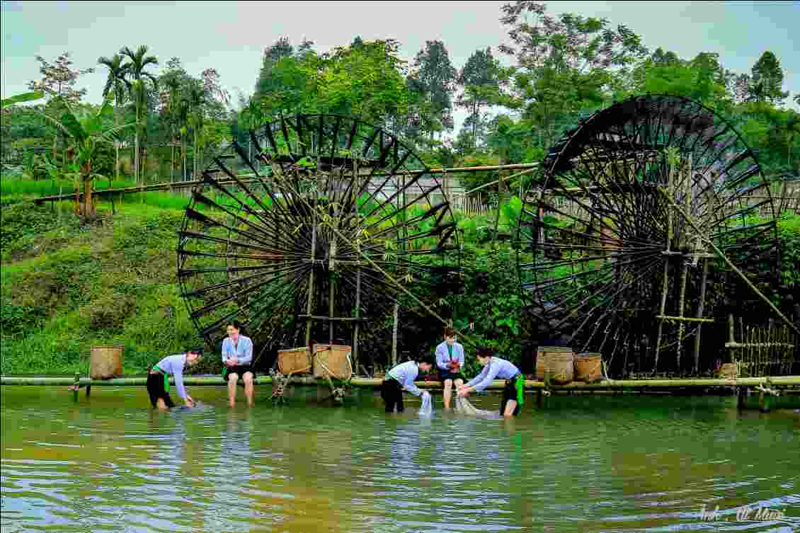 Cẩm nang Du Lịch Phú Thọ : Top 12 Địa điểm không nên bỏ qua