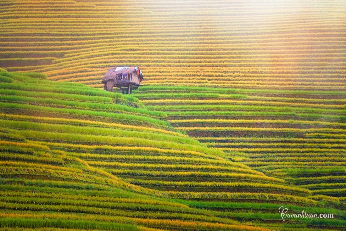 10 địa điểm du lịch ở Mù Cang Chải không nên bỏ qua