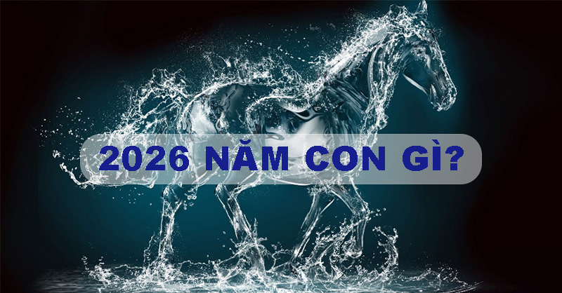 Năm 2026 là năm con gì? Tử vi 12 con giáp trong năm 2026