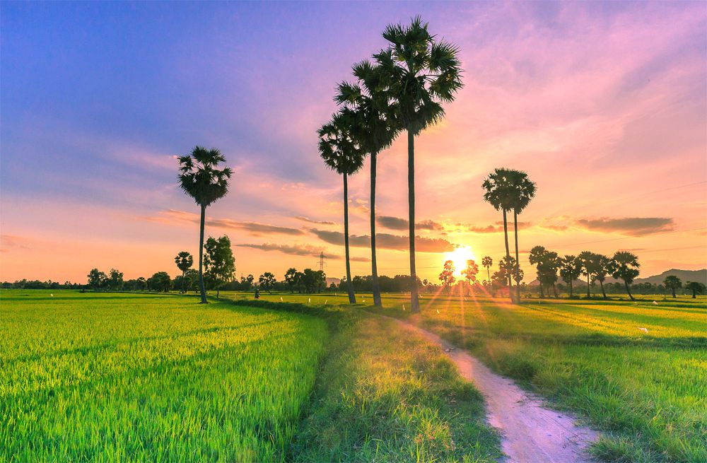 Du lịch An Giang: Cẩm nang du lịch từ A đến Z