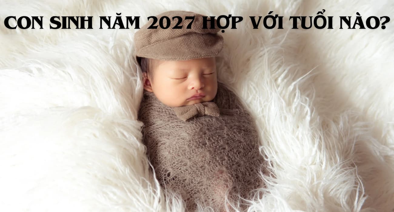 Sinh năm 2027 là năm gì, mệnh gì? Tuổi nào hợp để sinh con?