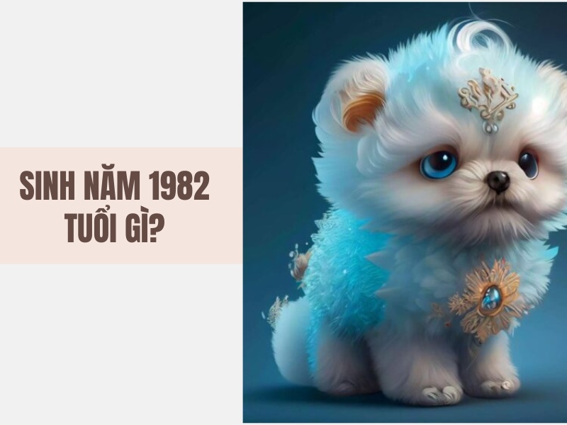 Tuổi Nhâm Tuất 1982 Mệnh Gì? Hợp Với Tuổi Gì, Hợp Màu Gì?