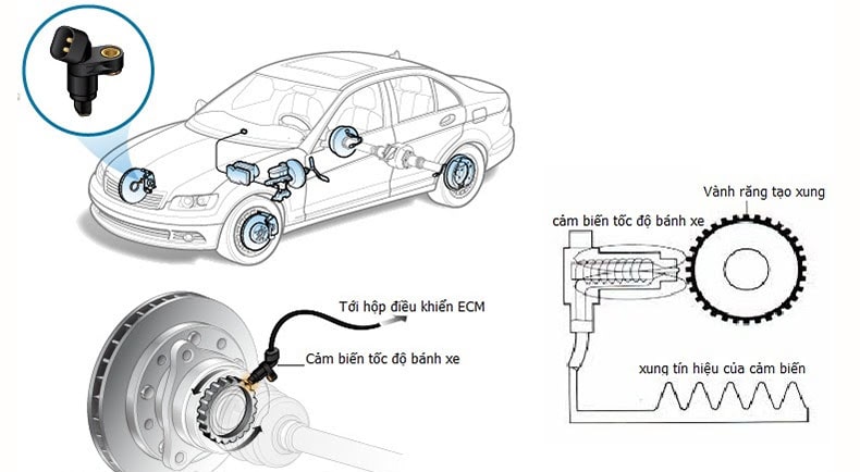 Cảm biến tốc độ bánh xe là gì? Các hư hỏng và giải pháp ra sao?