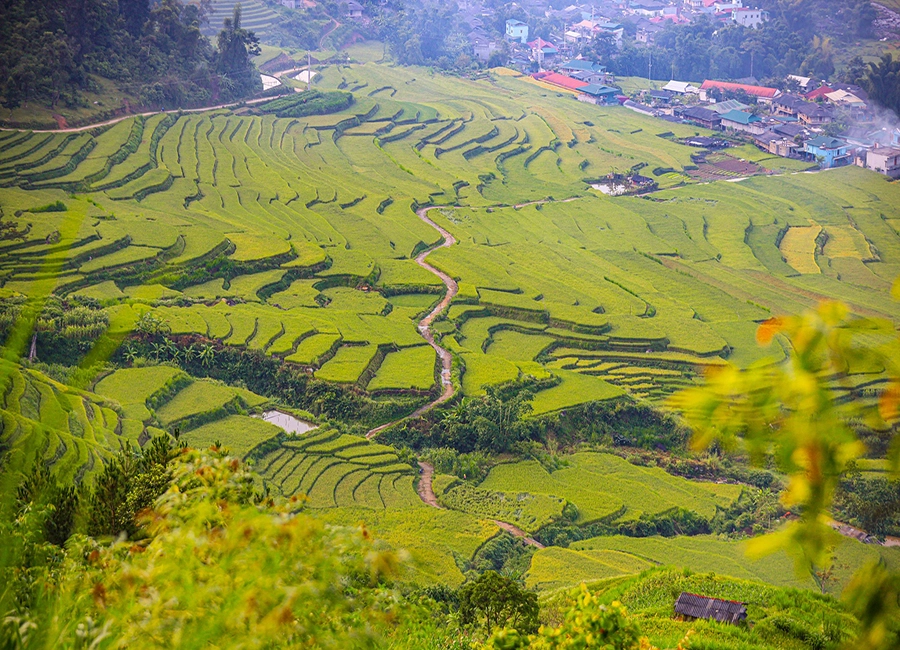 Tour TRẠM TẤU Yên Bái Giá Rẻ Kinh Nghiệm Du Lịch 2024