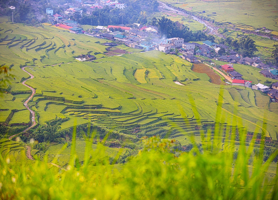 Tour TRẠM TẤU Yên Bái Giá Rẻ Kinh Nghiệm Du Lịch 2024