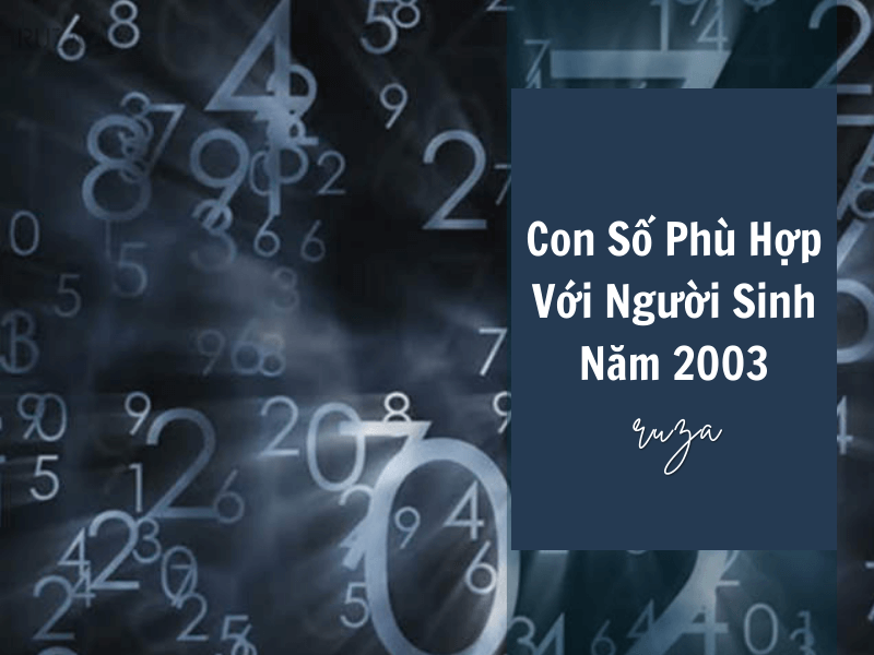 Tuổi Quý Mùi 2003 Mệnh Gì? Hợp Với Tuổi Gì, Hợp Màu Gì?