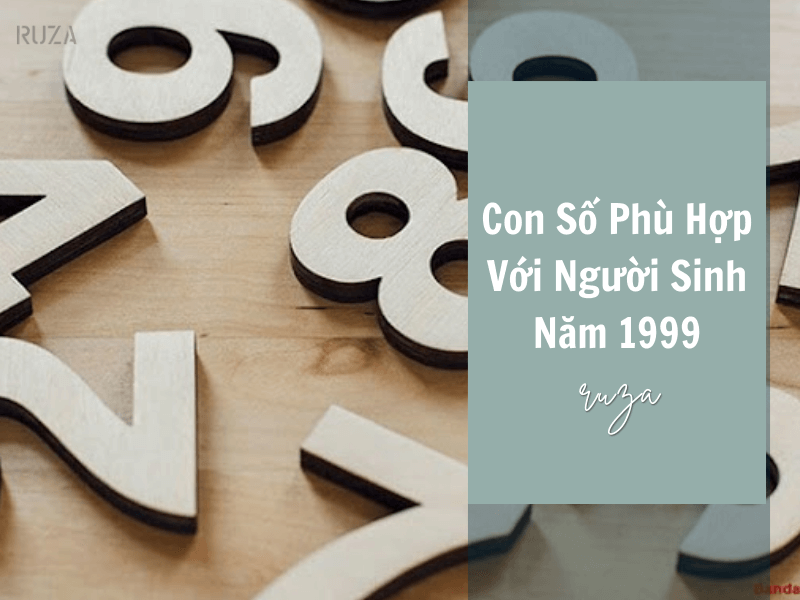 Tuổi Kỷ Mão 1999 Mệnh Gì? Hợp Với Tuổi Gì, Hợp Màu Gì?