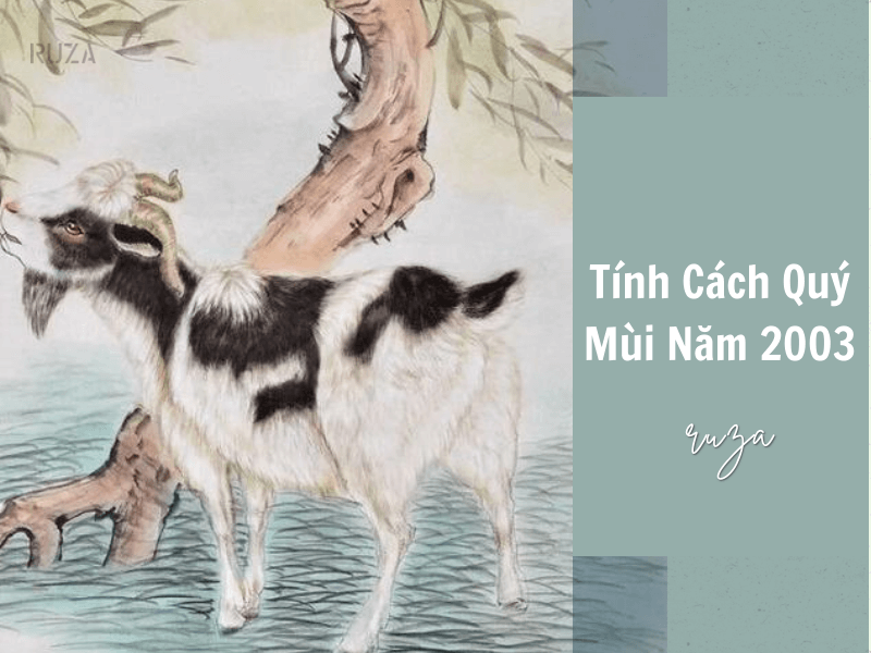 Tuổi Quý Mùi 2003 Mệnh Gì? Hợp Với Tuổi Gì, Hợp Màu Gì?