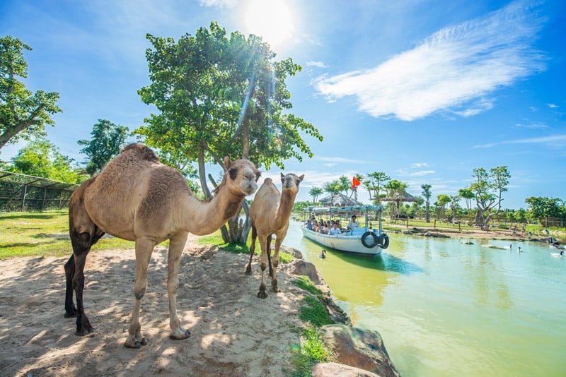 Kinh nghiệm du lịch Hội An TRỌN BỘ: thời gian, đi lại, ăn ở, vui chơi