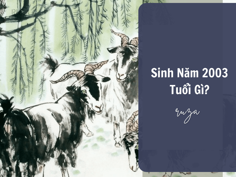 Tuổi Quý Mùi 2003 Mệnh Gì? Hợp Với Tuổi Gì, Hợp Màu Gì?