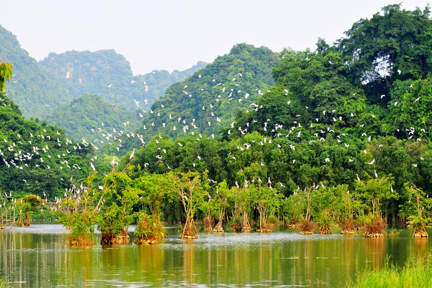 Top 10 địa điểm du lịch nổi tiếng tại Ninh Bình mà bạn nhất định phải ghé một lần trong đời