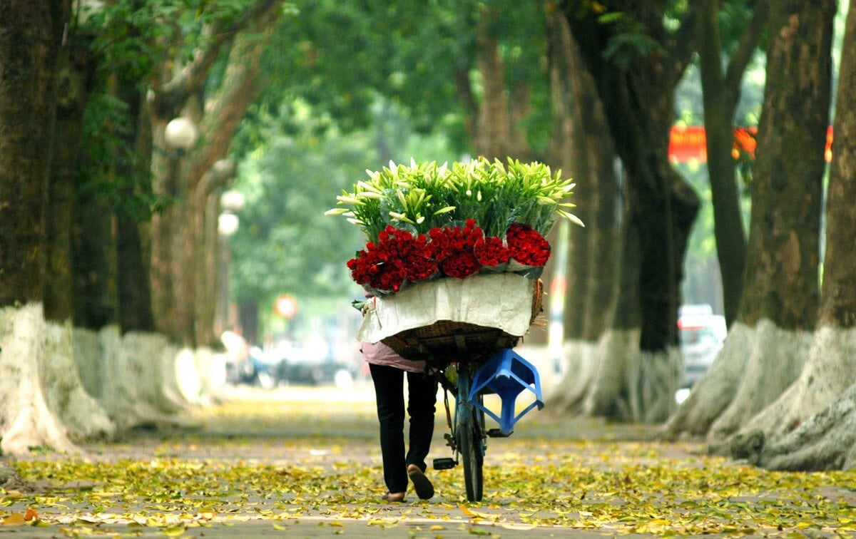 Trọn bộ kinh nghiệm du lịch Hà Nội: Khám phá nét đặc sắc của Thủ đô