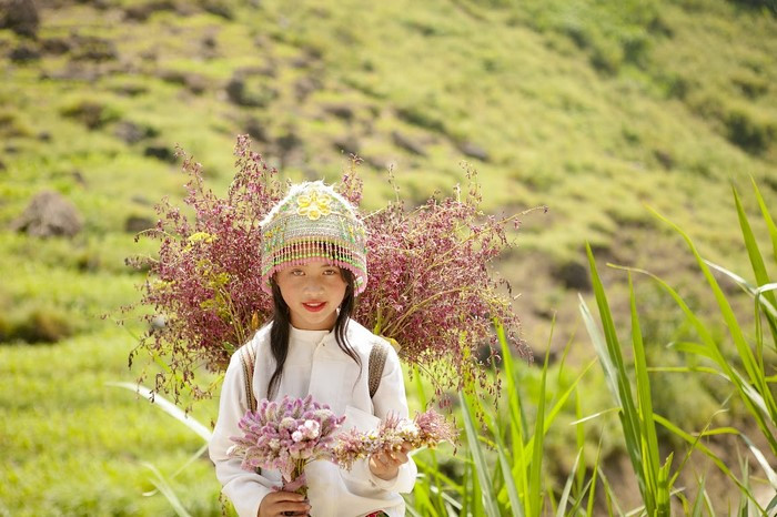 Chia sẻ kinh nghiệm du lịch Hà Giang tự túc