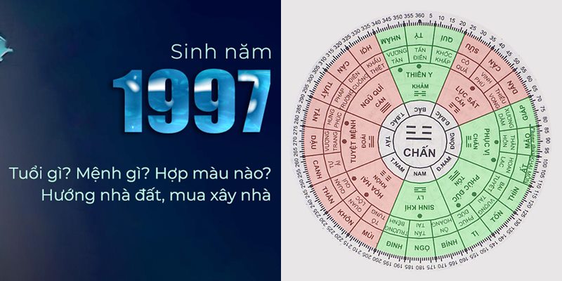 Tuổi Sửu hợp với màu gì và kỵ màu sắc nào nhất phong thủy?