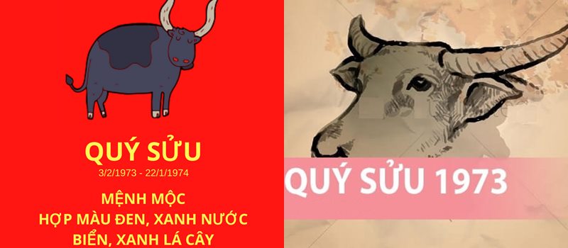 Tuổi Sửu hợp với màu gì và kỵ màu sắc nào nhất phong thủy?