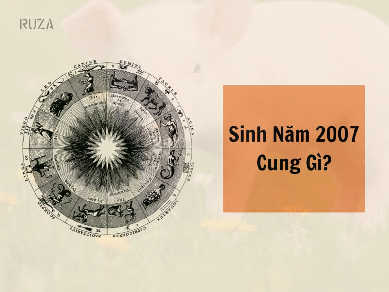 Tuổi Đinh Hợi 2007 Mệnh Gì? Hợp Với Tuổi Gì, Hợp Màu Gì?