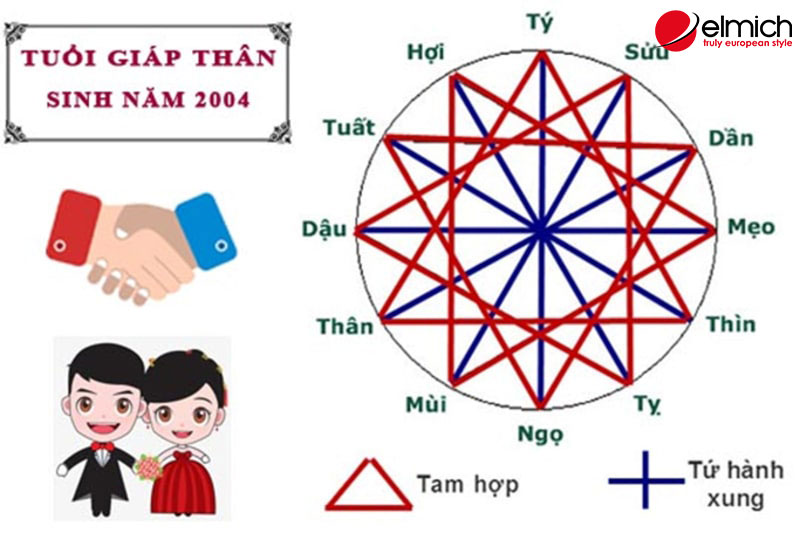 Nam, nữ 2004 hợp màu gì, khắc màu gì, hợp tuổi nào, khắc tuổi nào?