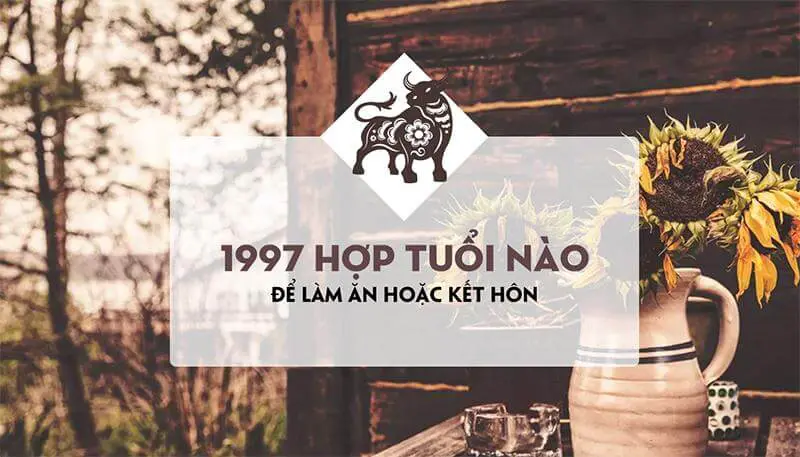 1997 mệnh gì? Sinh năm 1997 tuổi con gì? Hợp màu nào?