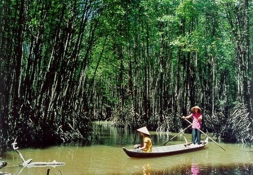 Khám Phá Các Địa Điểm Du Lịch Tại Cà Mau