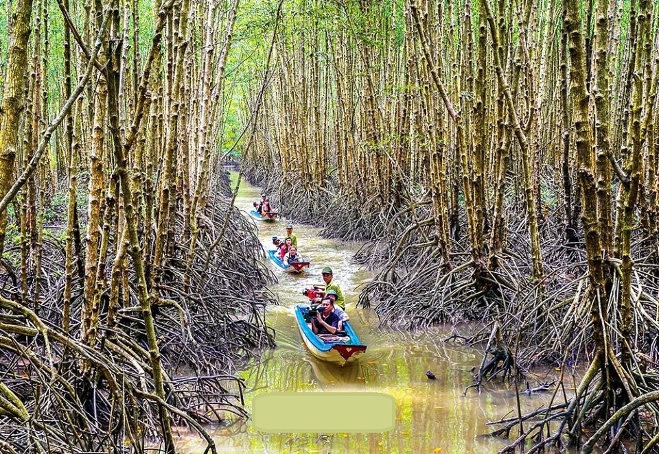 Khám Phá Các Địa Điểm Du Lịch Tại Cà Mau