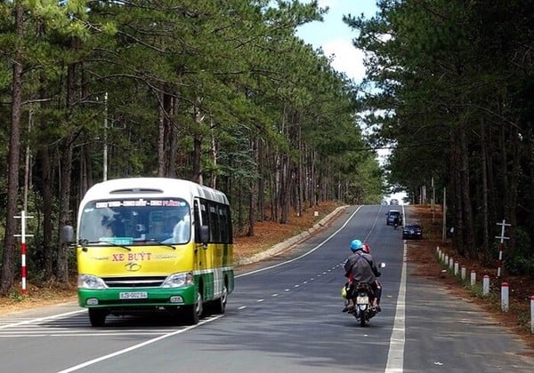 Khám phá khu du lịch Măng Đen Kon Tum: Nét đẹp hoang sơ, hùng vĩ