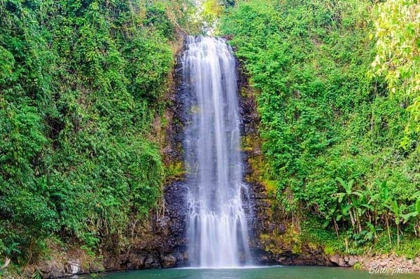 Khám phá khu du lịch Măng Đen Kon Tum: Nét đẹp hoang sơ, hùng vĩ