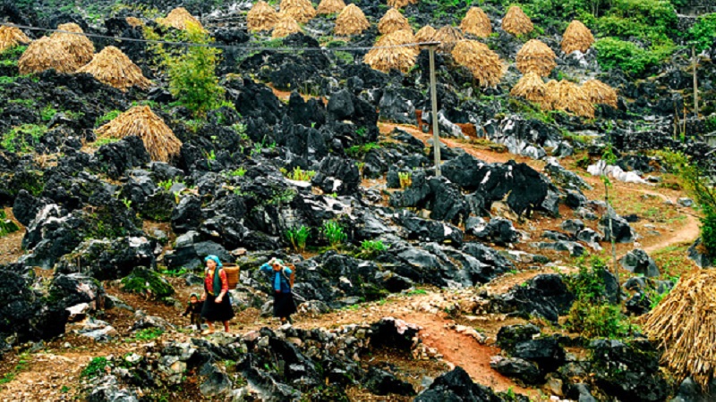 Đi Hà Giang mùa nào đẹp nhất trong năm?