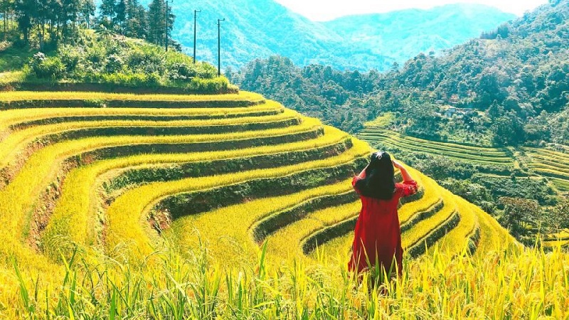 Đi Hà Giang mùa nào đẹp nhất trong năm?