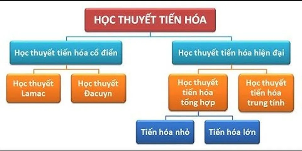 Lý Thuyết Học Thuyết Tiến Hóa Tổng Hợp Hiện Đại Và Bài Tập Trắc Nghiệm