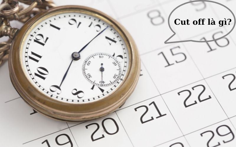 Cut off là gì? Cut off trong ngành xuất nhập khẩu