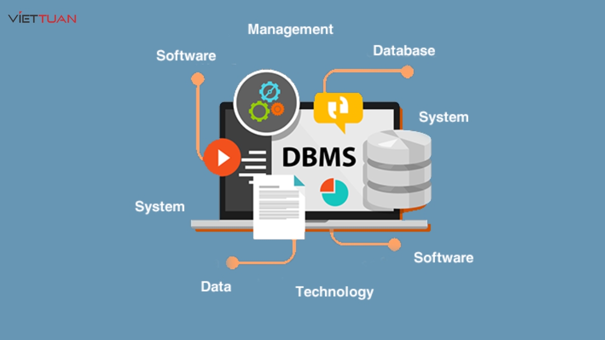 Hệ quản trị cơ sở dữ liệu là gì? Vai trò của hệ quản trị cơ sở dữ liệu