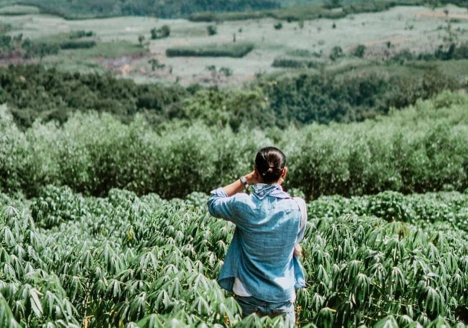 Check ngay 12 địa điểm du lịch Phú Yên phải đến một lần trong đời