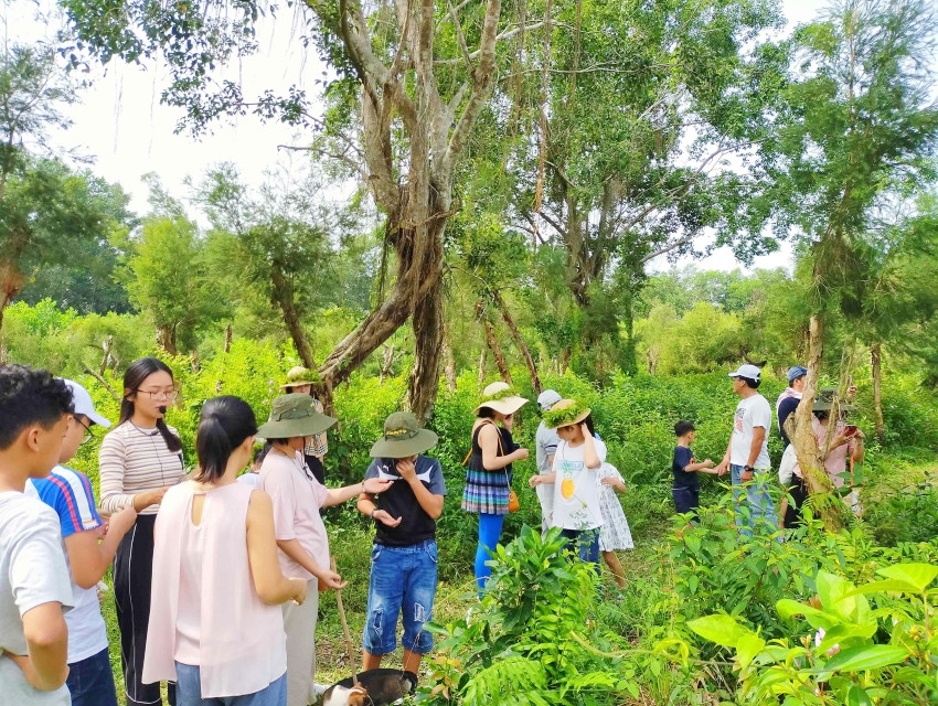 THAM QUAN KHU DU LỊCH CÁNH ĐỒNG BẤT TẬN LONG AN