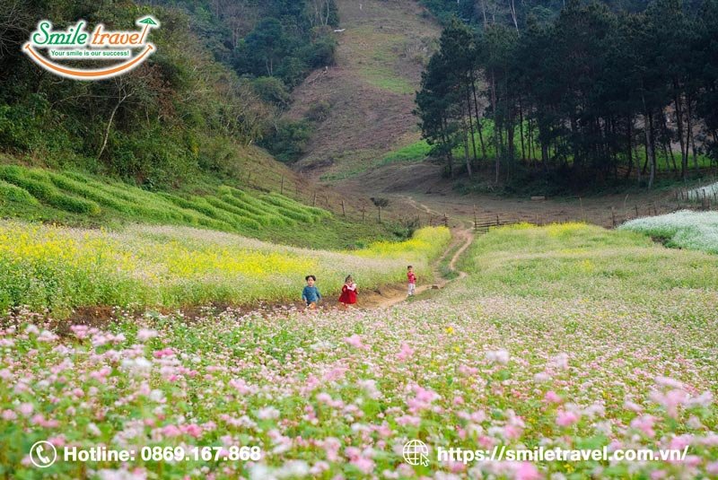 Top 10 Địa điểm du lịch Mộc Châu siêu đẹp “đi là không muốn về ”