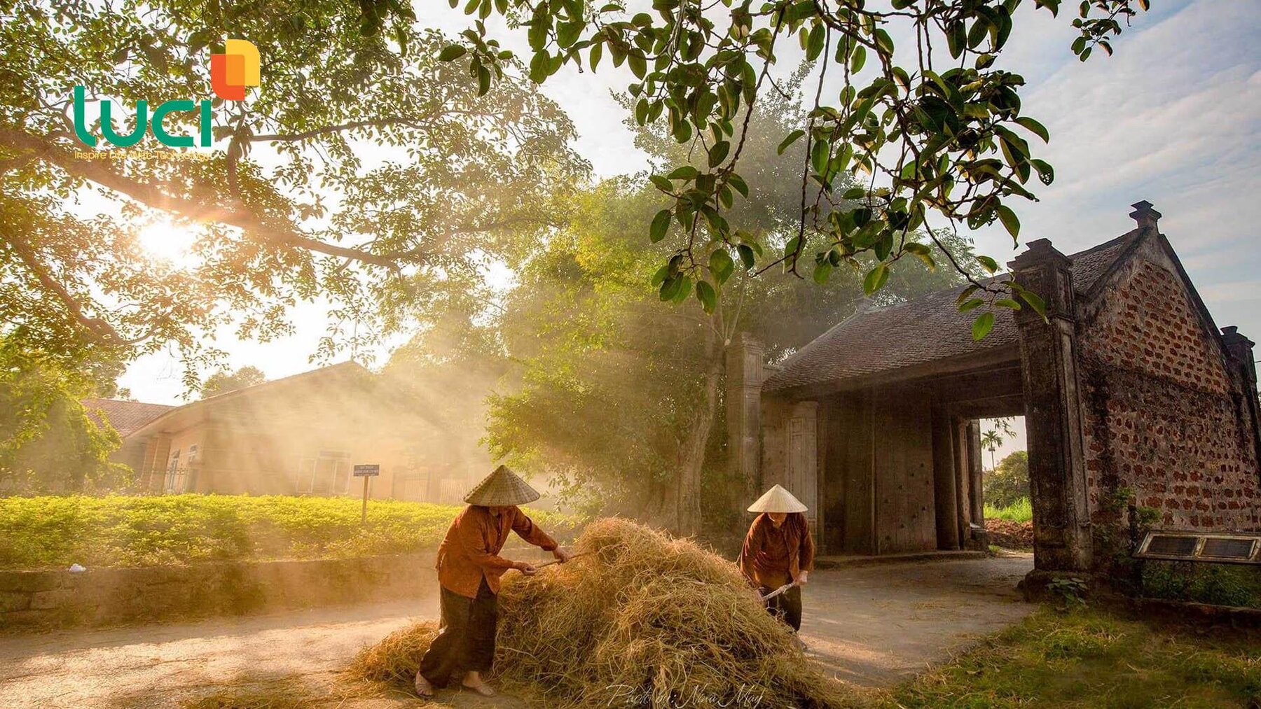 Thực trạng quản lý đô thị ở Việt Nam và chiến lược đối mặt với thách thức - Luci