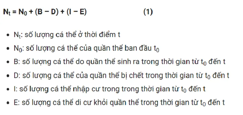 Quần thể sinh vật là gì? Các đặc trưng cơ bản của quần thể sinh vật