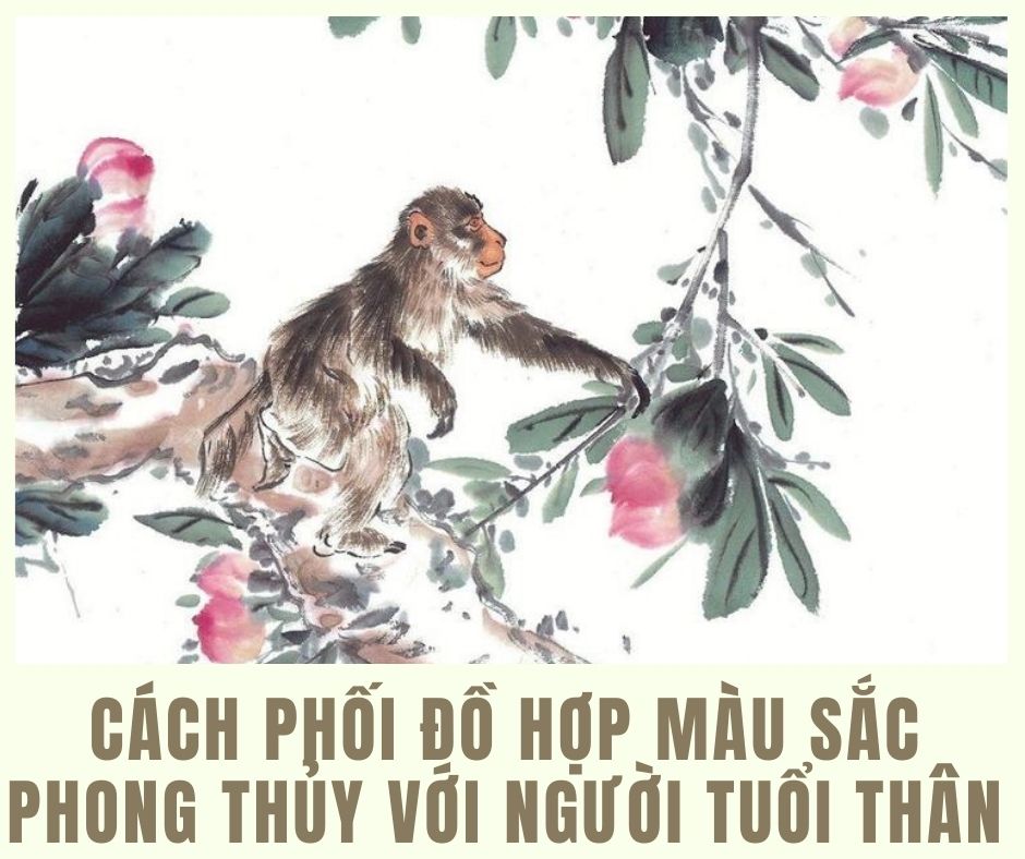 Tuổi thân hợp màu gì? Mặc gì thu hút tài lộc may mắn