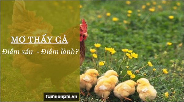 Nằm mơ thấy gà đánh con gì? là điềm báo gì?