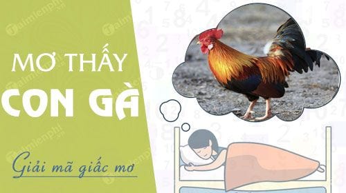 Nằm mơ thấy gà đánh con gì? là điềm báo gì?