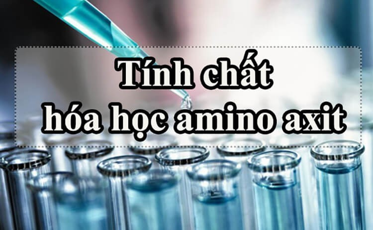 Amino Axit Là Gì? Tính Chất Hóa Học, Công Thức Cấu Tạo & Bài Tập