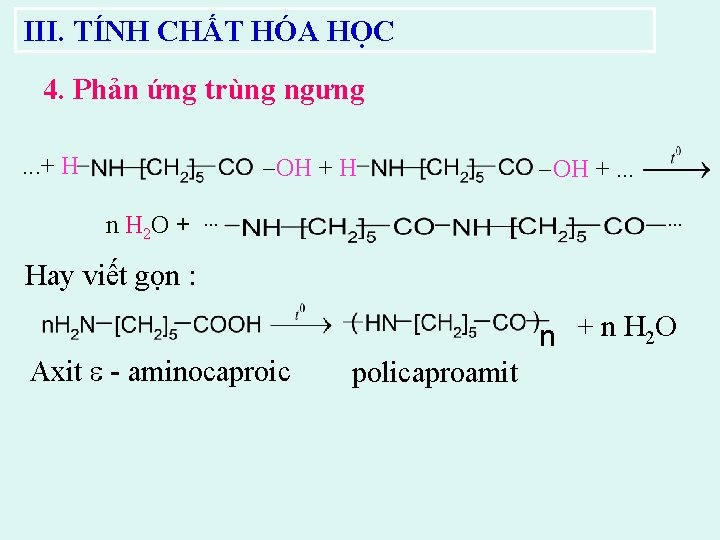 Amino Axit Là Gì? Tính Chất Hóa Học, Công Thức Cấu Tạo & Bài Tập